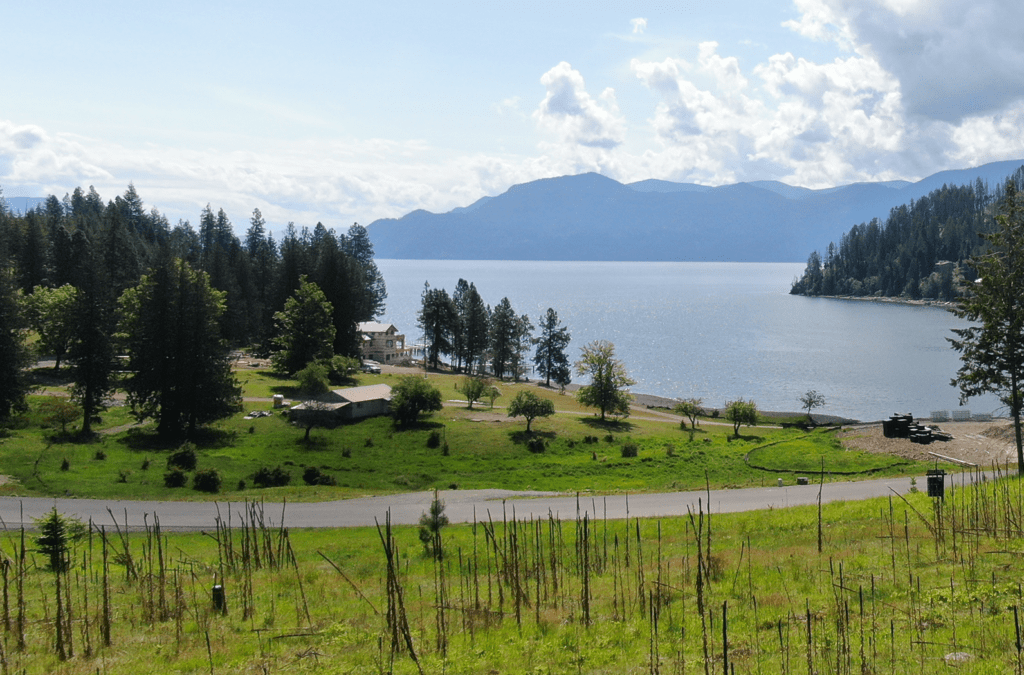 Homesite at Camp Bay