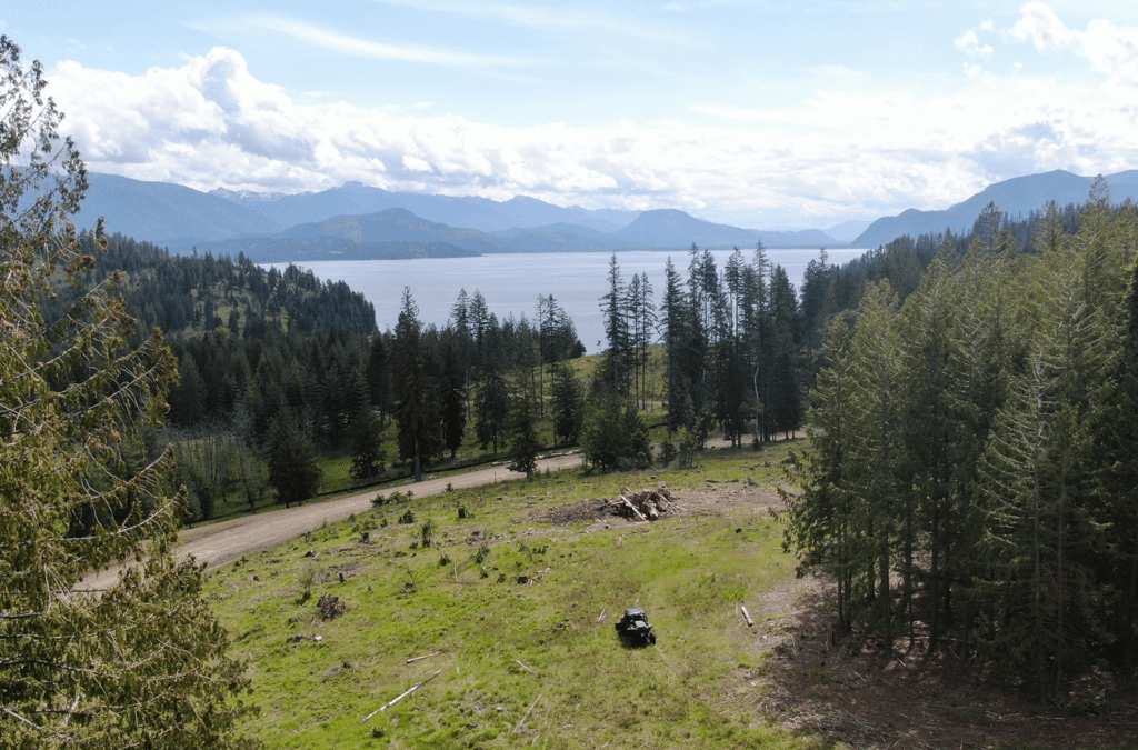 Homesite at Camp Bay