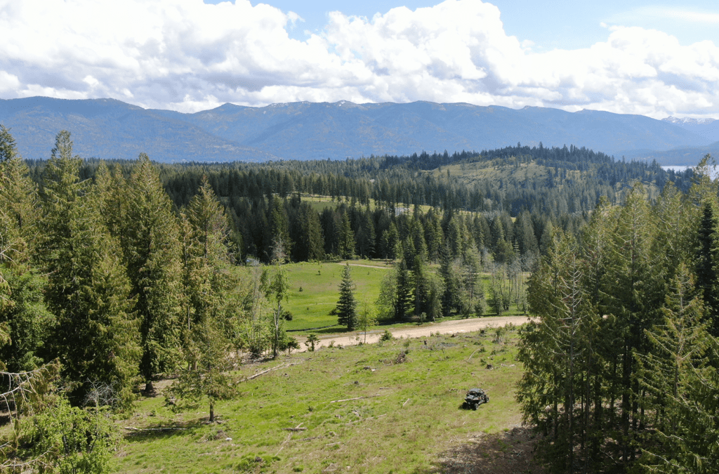 Homesite at Camp Bay